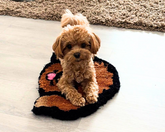 Pet Potrait Rug Tufting Workshop
